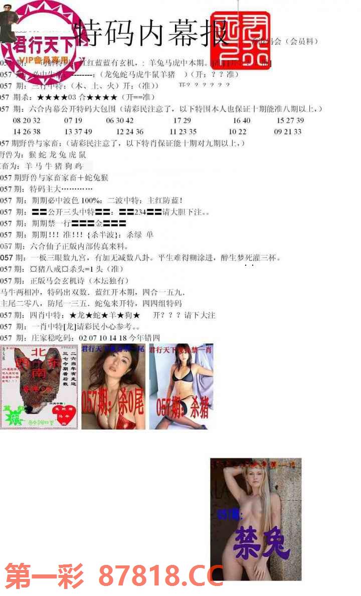 图片载入中...