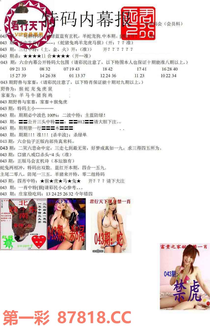 图片载入中...